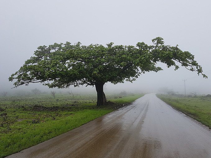 Salalah-5