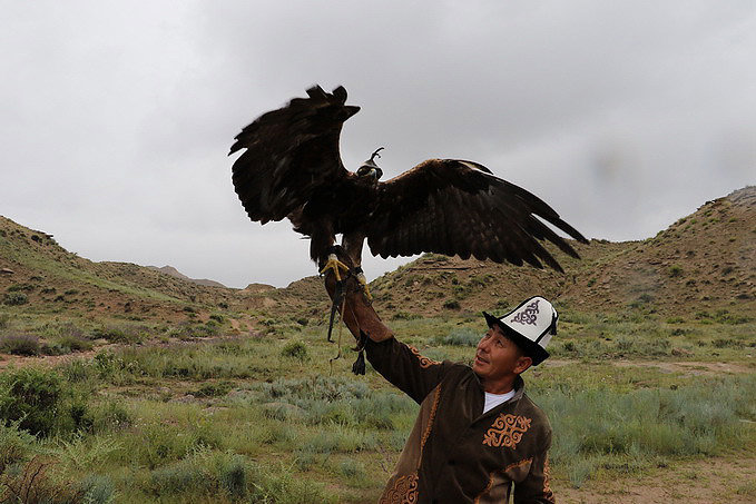 Eagle Hunting Show Kyrgyzstan