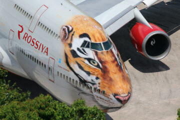 an airplane with a tiger face on it