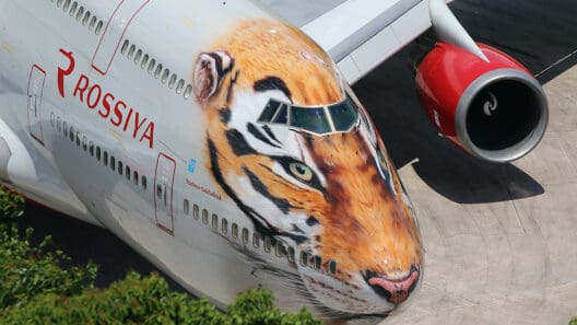 an airplane with a tiger face on it