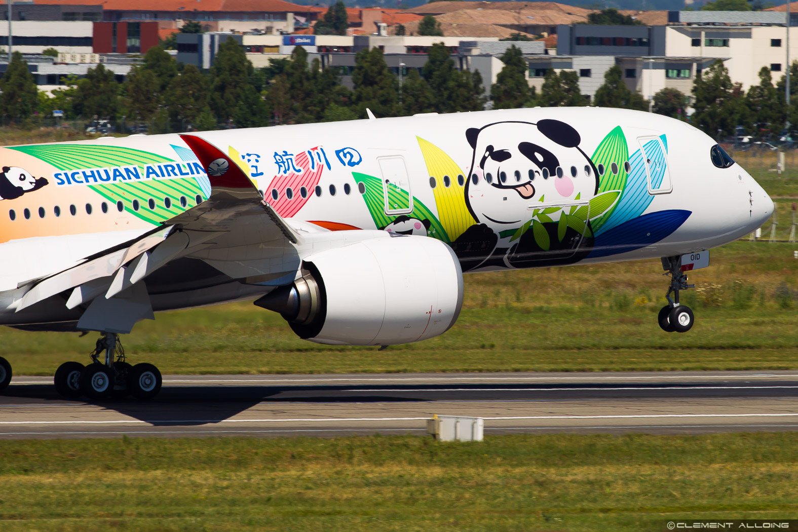 an airplane with a panda on the side