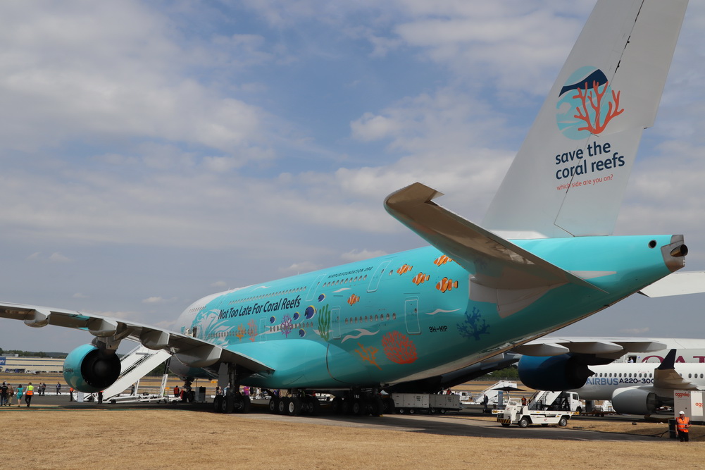 a large airplane with a blue tail and a fish sticker on it