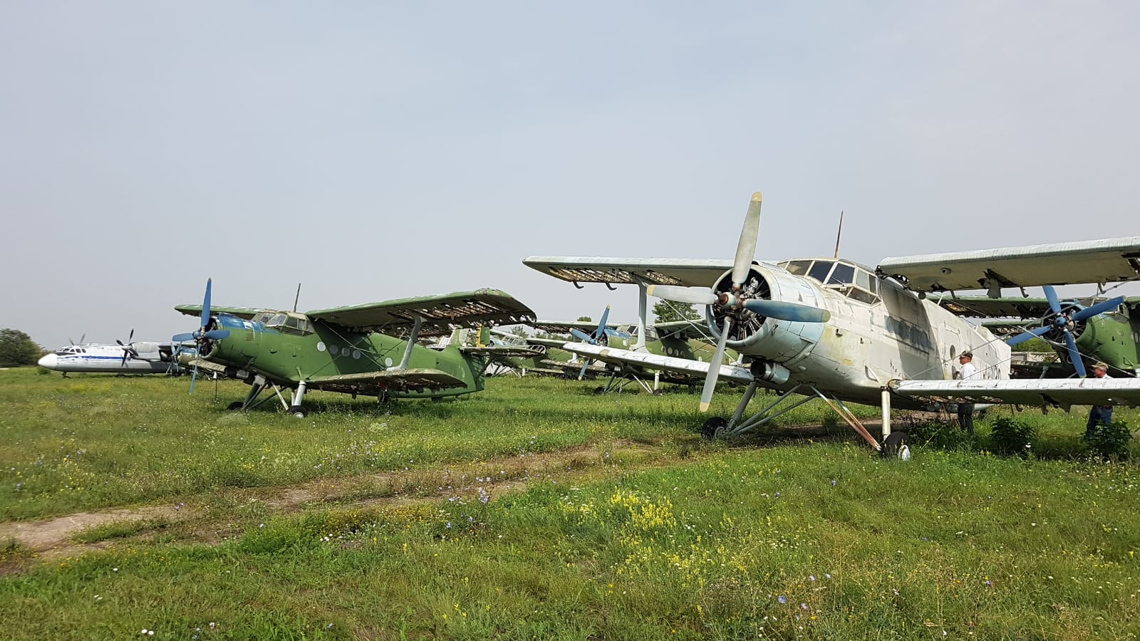 an old airplanes on a field