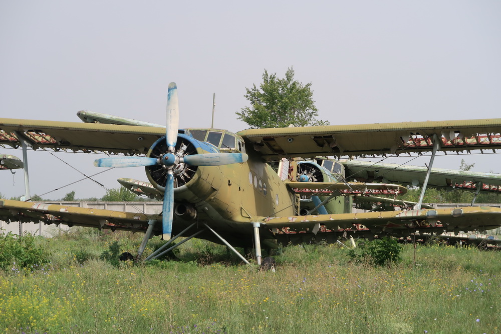 an old plane in a field
