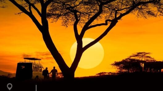 a group of people under a tree at sunset