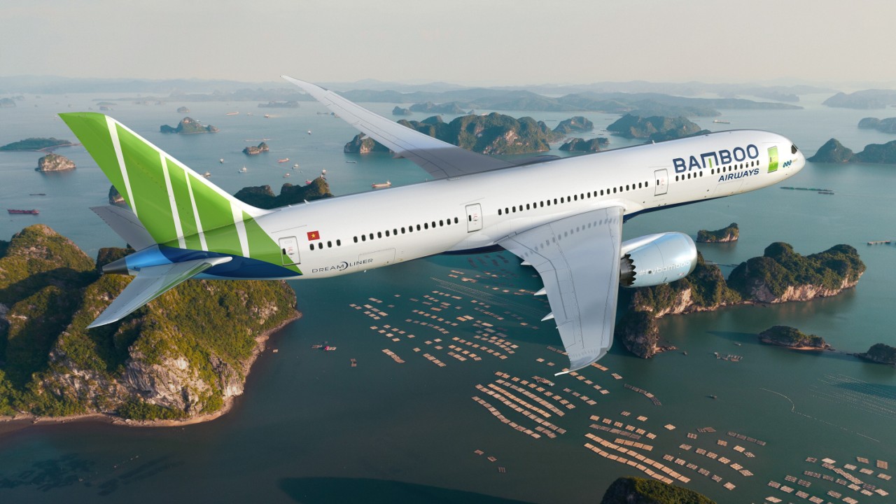 Resultado de imagen para Bamboo Boeing 787-9