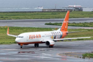 737 Grounded South Korea