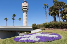 TSA Agent Falls to Death at Orlando International Airport