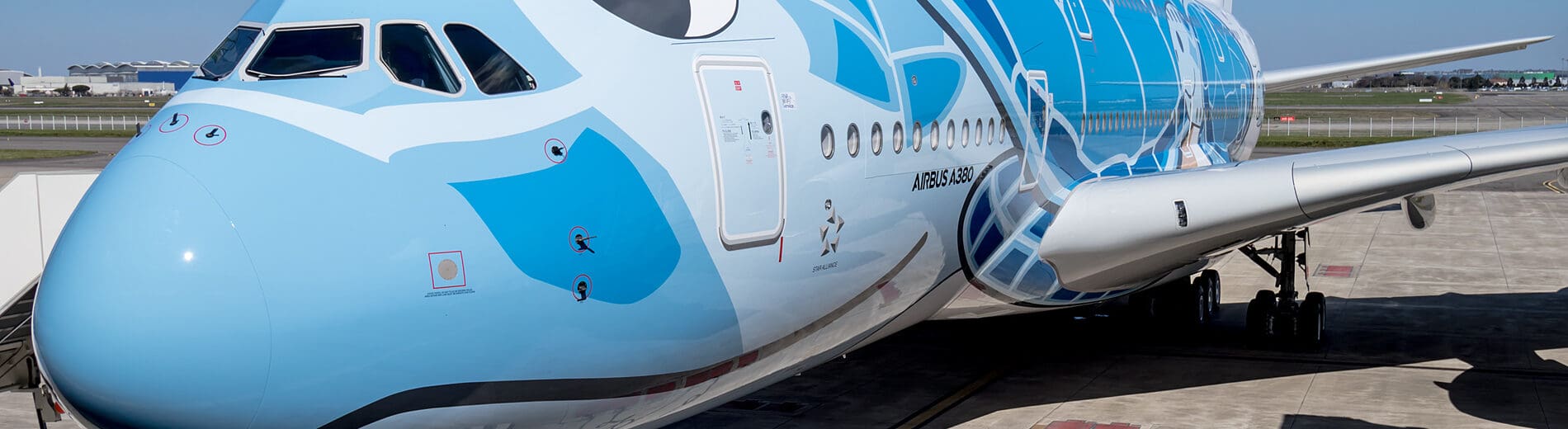 ANA A380 Flying Honu Delivered