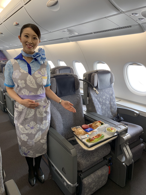 ANA A380 premium economy class cabin