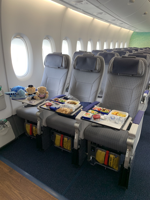 a plane with many seats and food on it