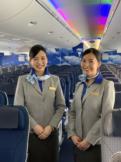 two women in grey suits standing in an airplane