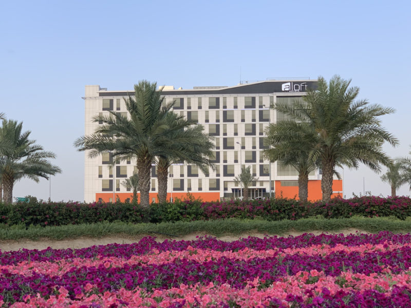 a field of flowers with palm trees in front of a building