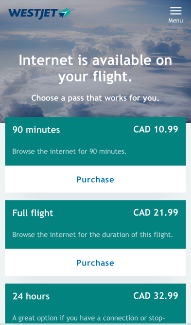 a screenshot of a flight