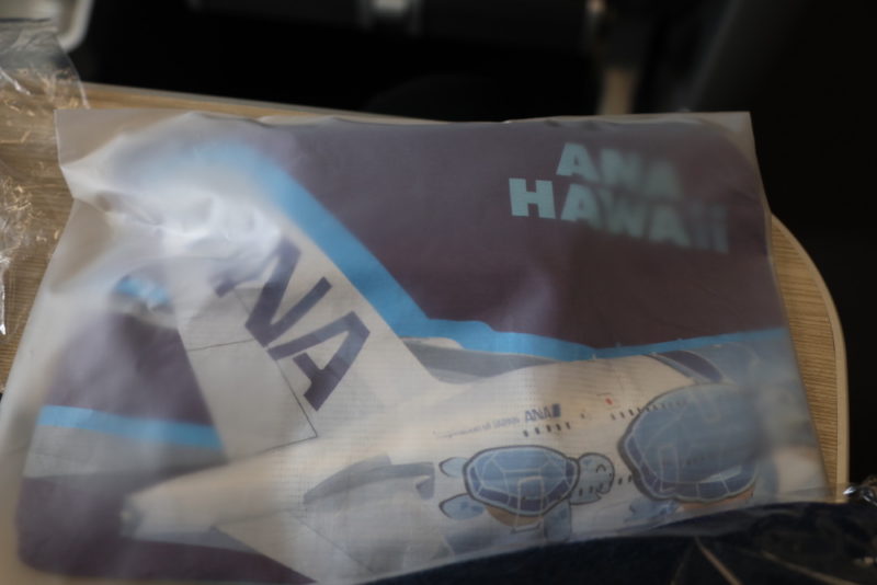 a plastic bag with a model of an airplane