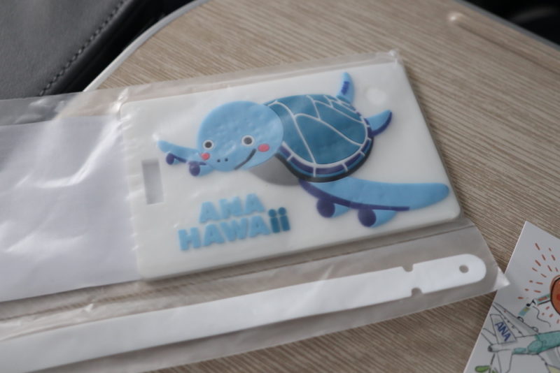 a plastic bag with a turtle on it