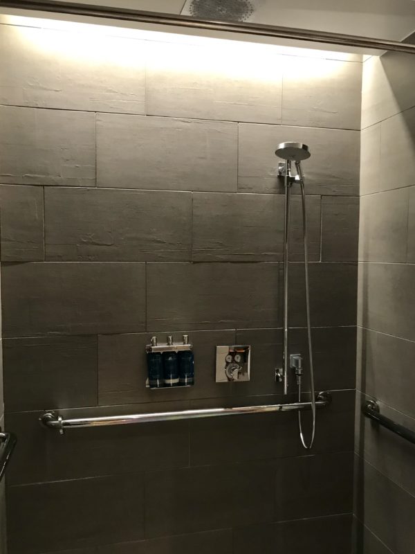 a shower with a hand rail and shower head