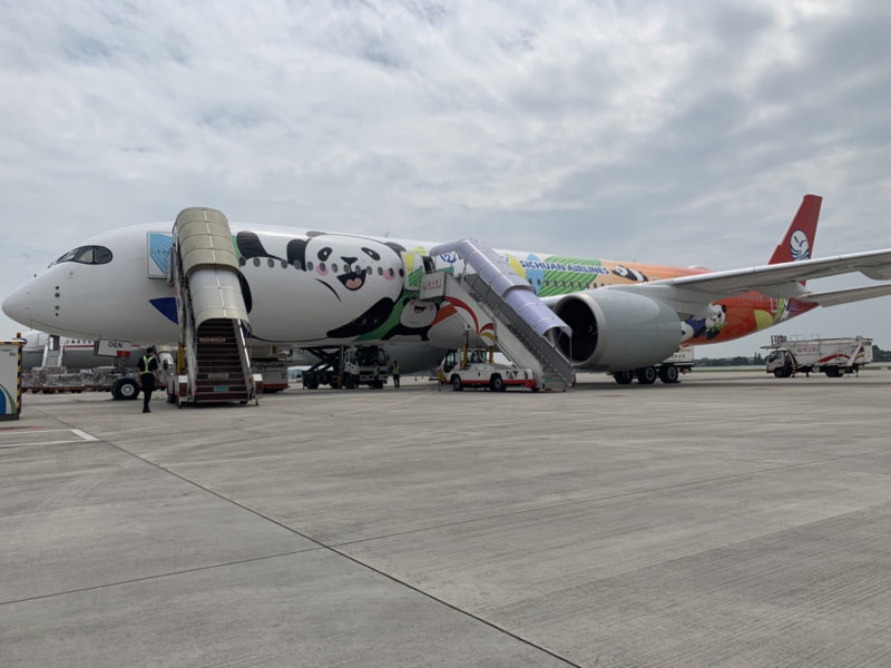 a plane with a panda face painted on it