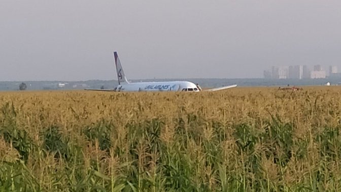 an airplane on a field