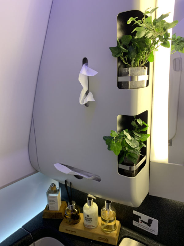 a bathroom with plants and toiletries