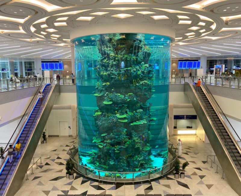 a large aquarium in a building