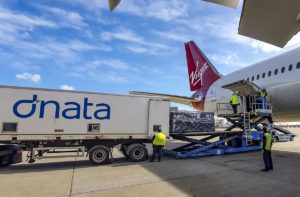Airlines use Passenger Planes for Cargo