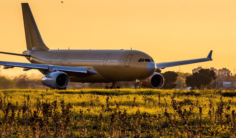 a large airplane on a field of flowers