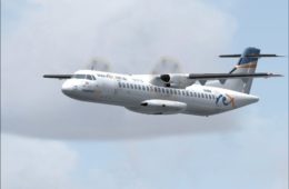 Regional Express Domestic Flights