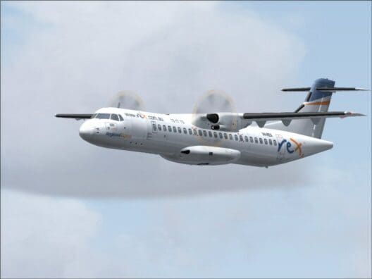 Regional Express Domestic Flights