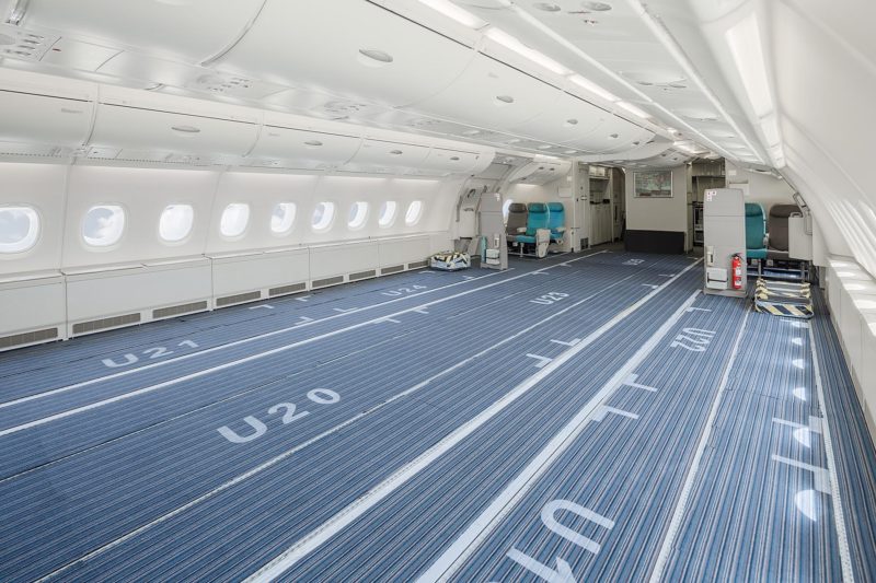 an empty airplane with blue carpet