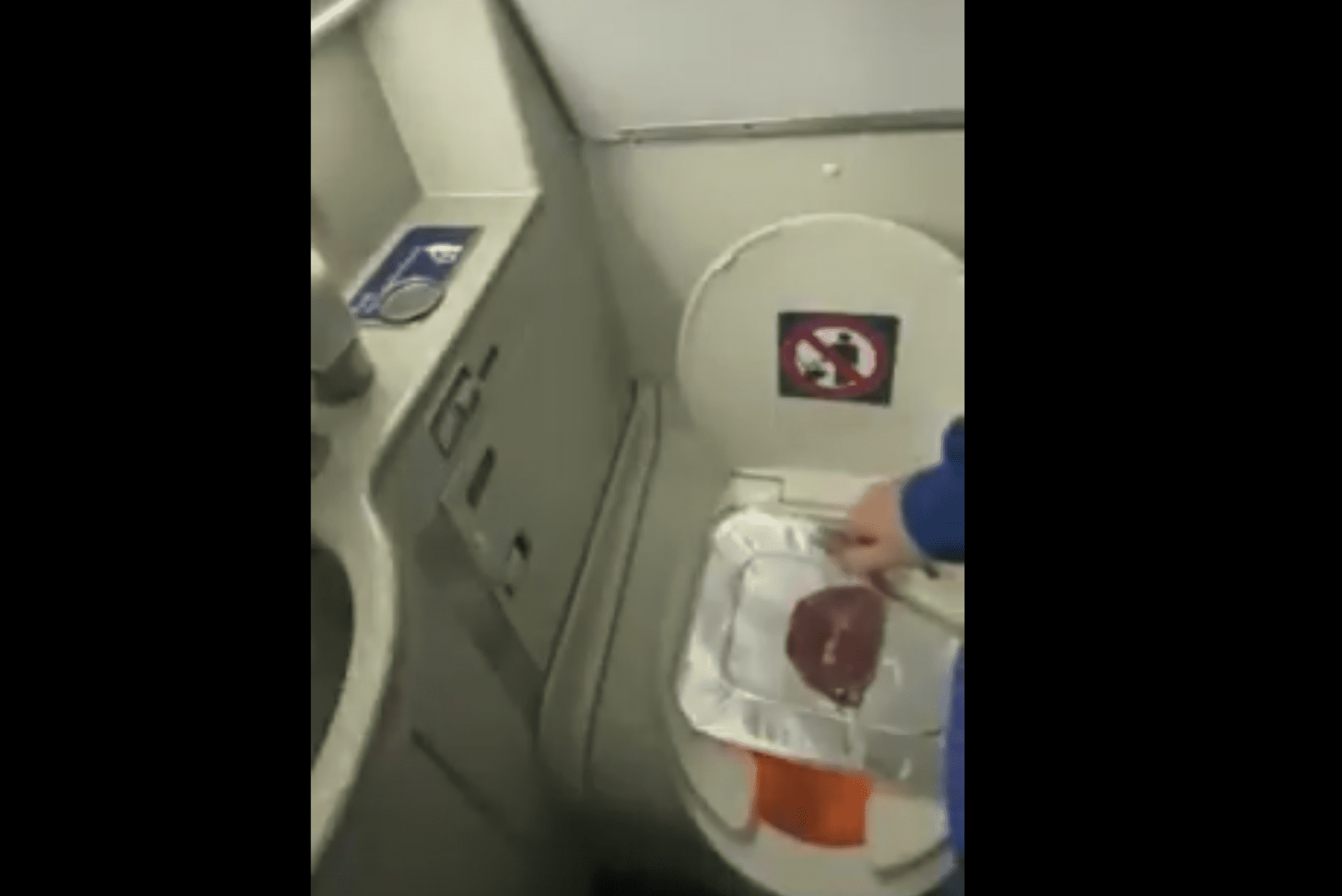 TikTok Steak Plane Lavatory