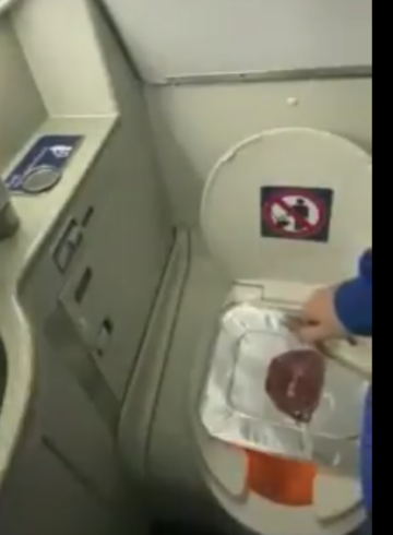TikTok Steak Plane Lavatory