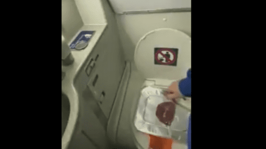TikTok Steak Plane Lavatory