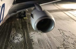 Alaska Airlines Bear Crash