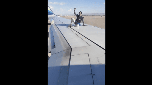 Alaska Airlines Wing