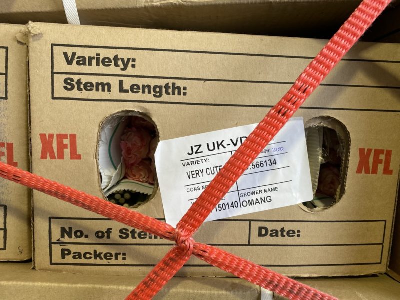 a cardboard box with red rope tied around it