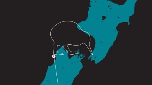 Air New Zealand Kiwi