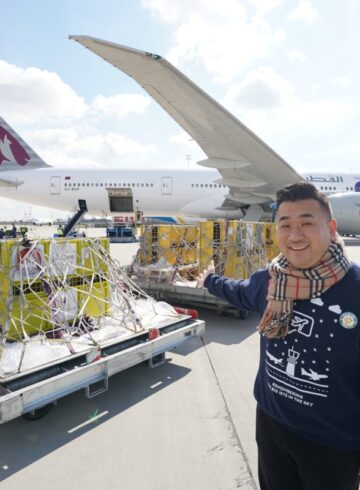 Flying Lions Qatar Airways