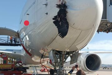Iberia A350 birdstrike