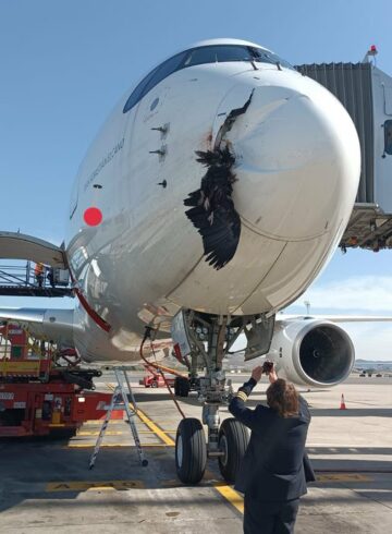Iberia A350 birdstrike