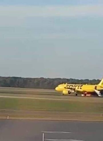 Spirit A320neo Bird Strike