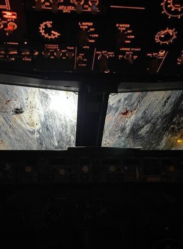 Malta Air Boeing 737 Suffers Severe Birdstrikes