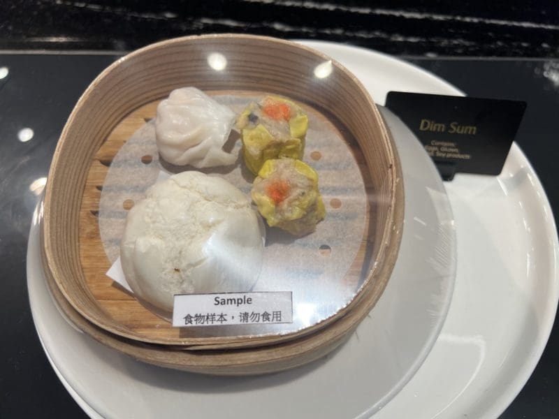 Singapore Airlines SilverKris Lounge