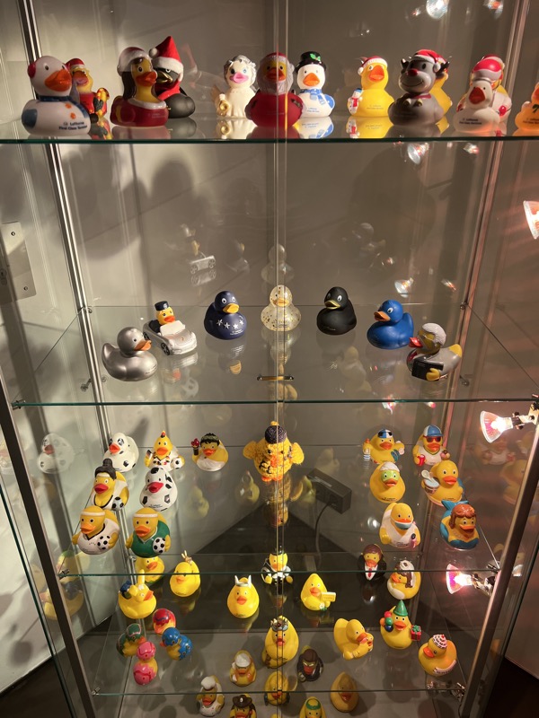 a glass cabinet with many rubber ducks