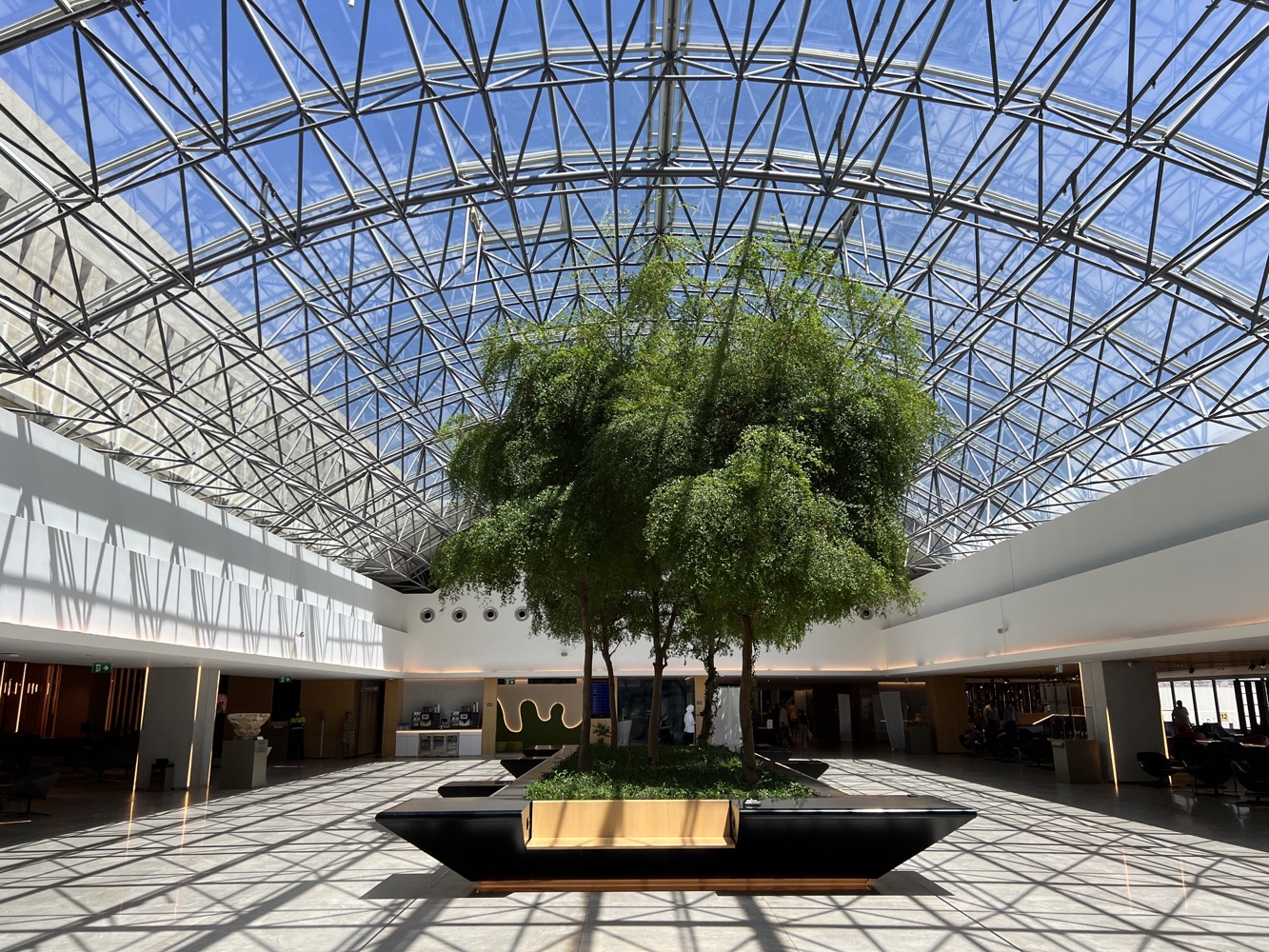 The center piece of the MEA Cedar Lounge is this tree surrounded by open roof natural lighting. (I mistaken it for Cedar Tree earlier)