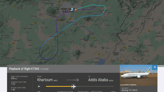Both Pilots of Ethiopian Airlines Boeing 737 Flight Fell Asleep