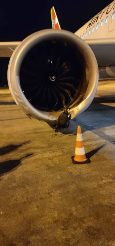 a plane engine with a cone