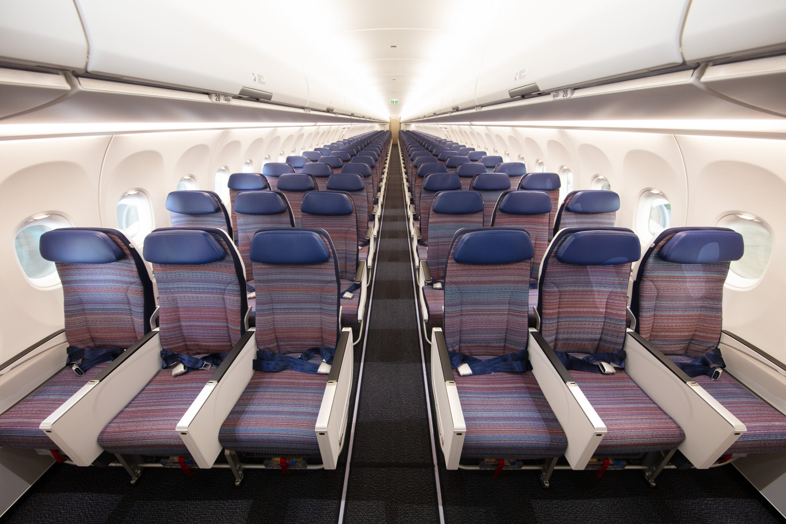 rows of seats in an airplane