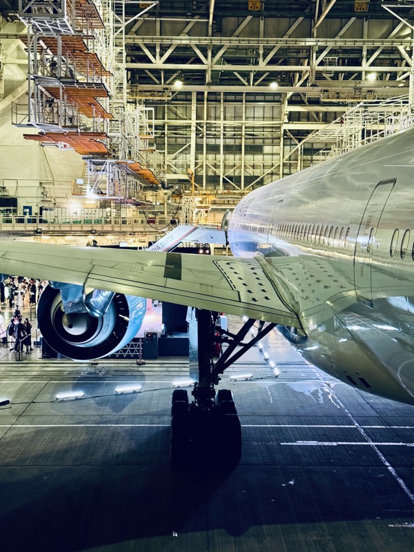 a plane in a hangar