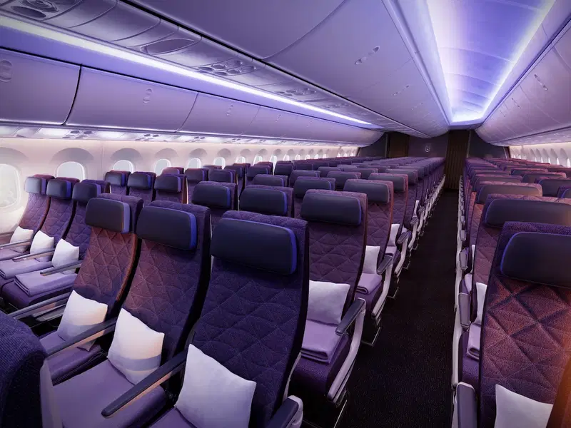 a row of seats in an airplane